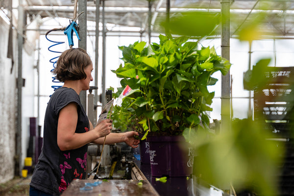 Leidenschaft für Qualität
