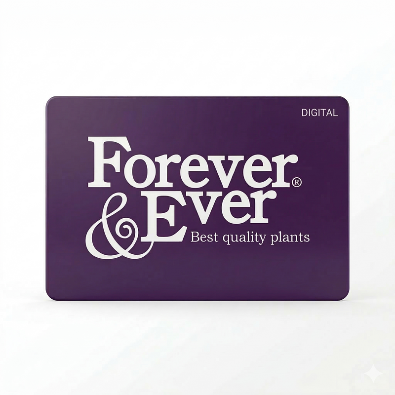 Forever&Ever® Geschenkgutschein